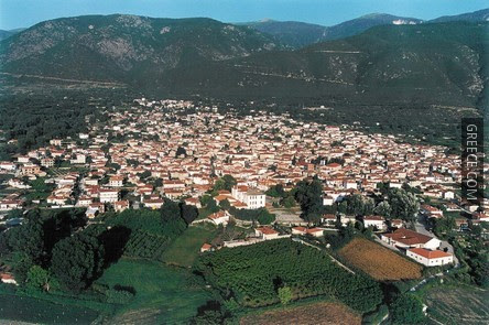 kozani